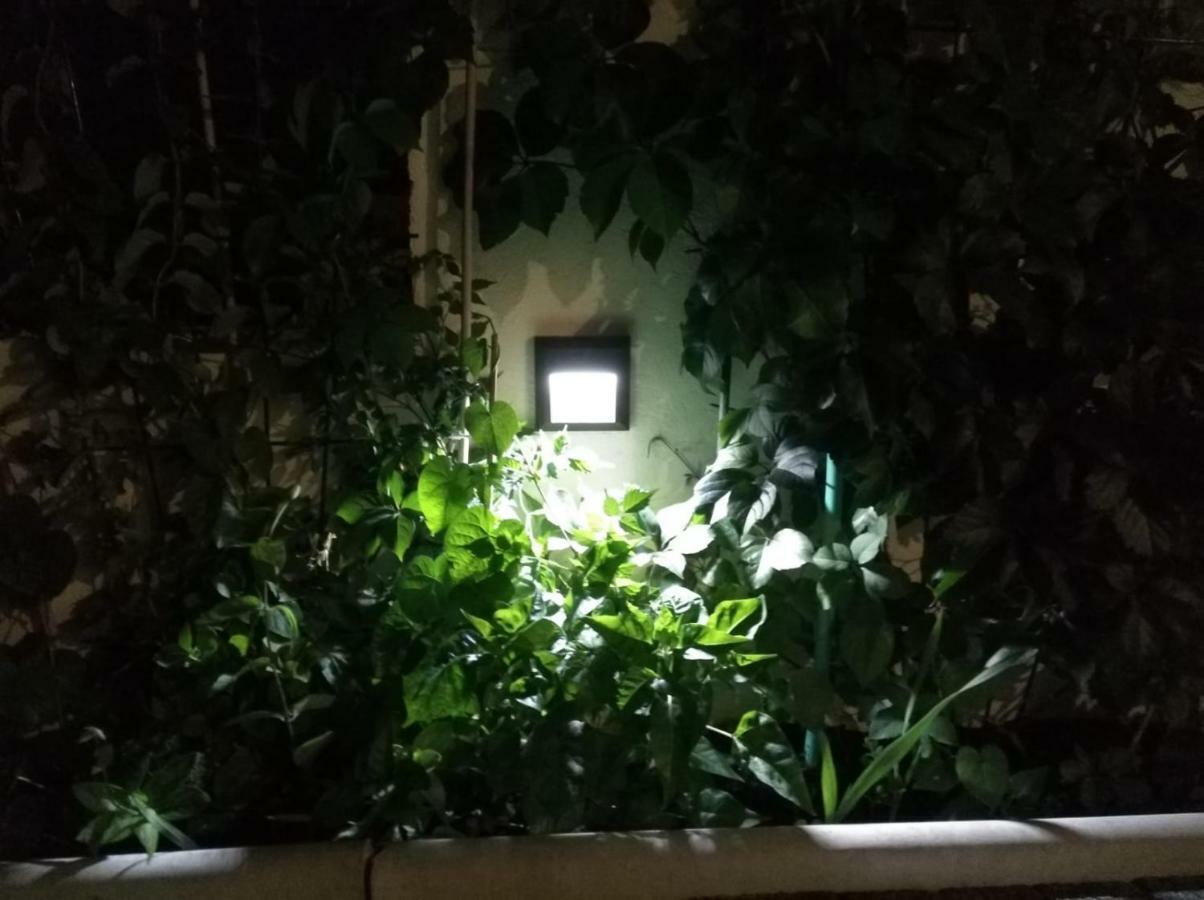 Apartman Pejic,Makarska,Veliko Brdo מראה חיצוני תמונה